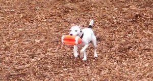 I love my football!!!