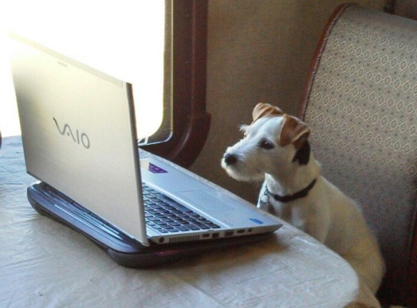 makena blogging 2-09-2014