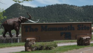 Mammoth Site