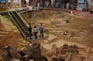 overview of dig site