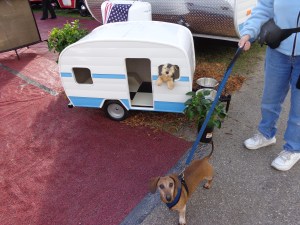 doggie trailers