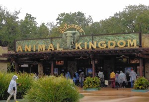 Animal Kingdom