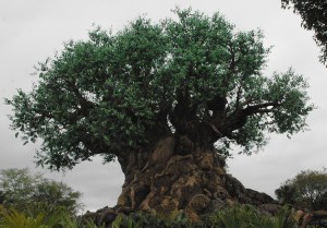 Tree of Life