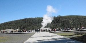 Old Faithful in the morning