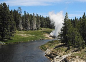 Riverside Geyser downstream