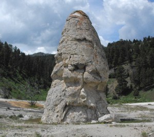Liberty Cap