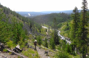 Old Faithful in distance