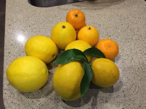 D793609C-82A5-4DD8-9328-FB5D4ECD969E