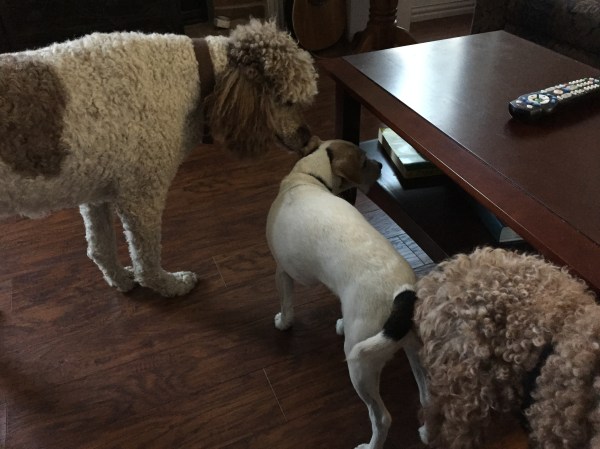 8E5C5E13-F283-4D85-80EF-C99F7336248F