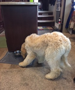 58992403237__9f6308fd-20fe-4a5f-8642-f78402842520